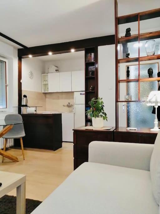 Апартаменты Dorcol Hideaway Белград Экстерьер фото